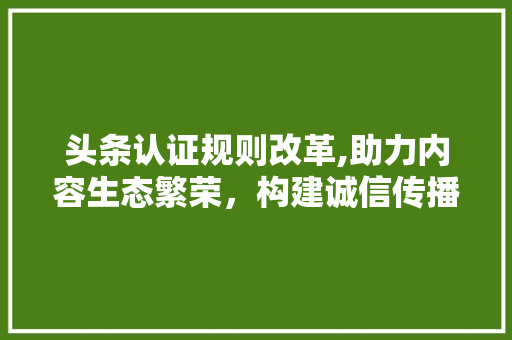 头条认证规则改革,助力内容生态繁荣，构建诚信传播平台