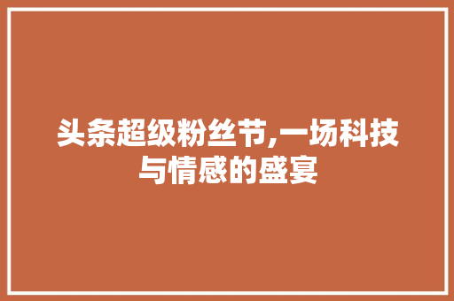 头条超级粉丝节,一场科技与情感的盛宴