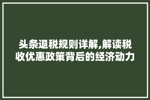 头条退税规则详解,解读税收优惠政策背后的经济动力