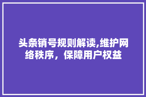 头条销号规则解读,维护网络秩序，保障用户权益