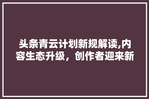 头条青云计划新规解读,内容生态升级，创作者迎来新机遇