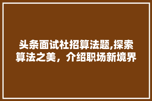 头条面试社招算法题,探索算法之美，介绍职场新境界