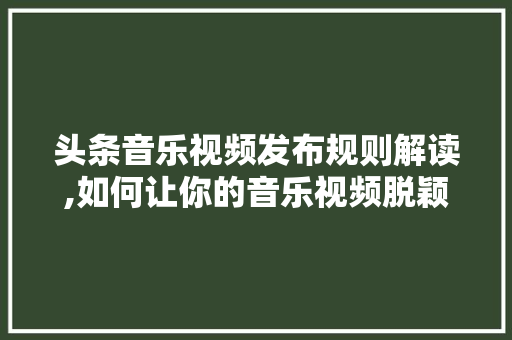 头条音乐视频发布规则解读,如何让你的音乐视频脱颖而出