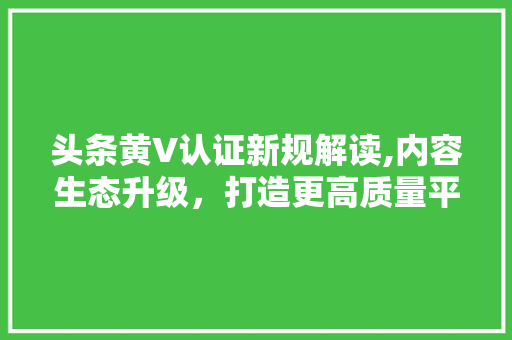 头条黄V认证新规解读,内容生态升级，打造更高质量平台