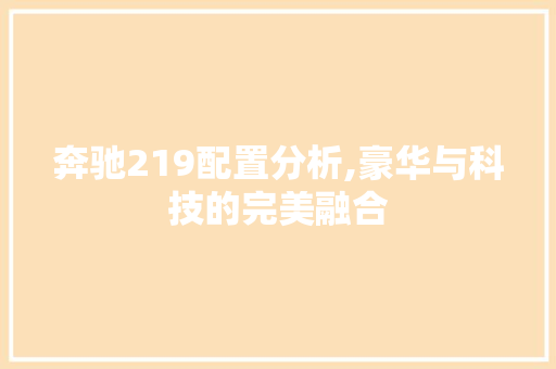 奔驰219配置分析,豪华与科技的完美融合