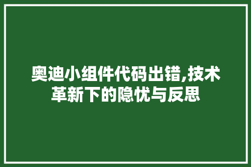 奥迪小组件代码出错,技术革新下的隐忧与反思