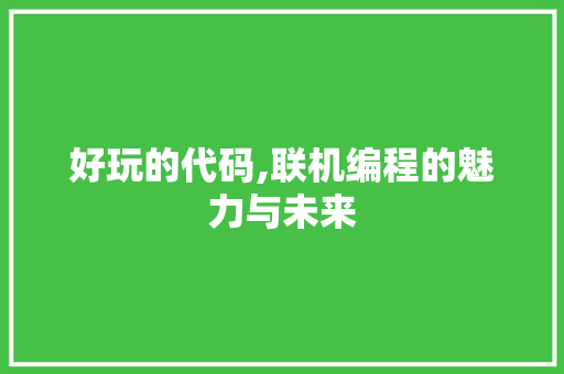 好玩的代码,联机编程的魅力与未来