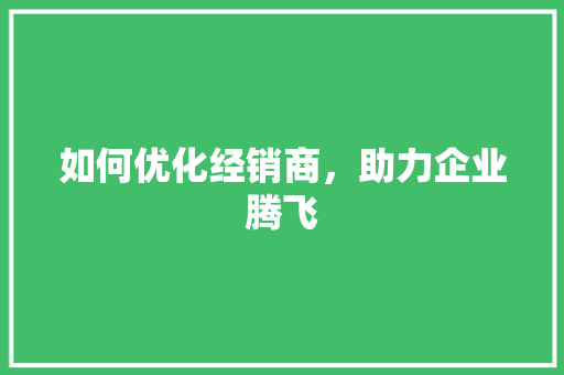 如何优化经销商，助力企业腾飞