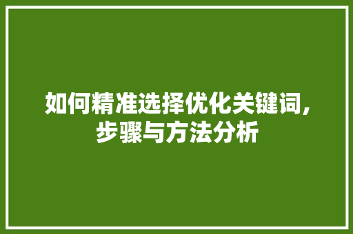 如何精准选择优化关键词,步骤与方法分析