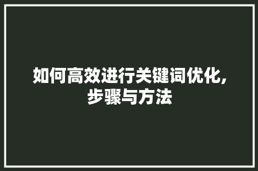 如何高效进行关键词优化,步骤与方法