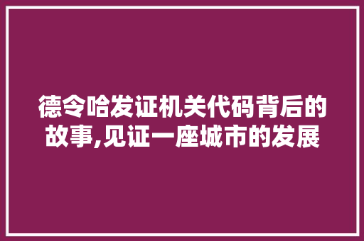 德令哈发证机关代码背后的故事,见证一座城市的发展与变迁