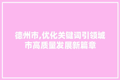 德州市,优化关键词引领城市高质量发展新篇章