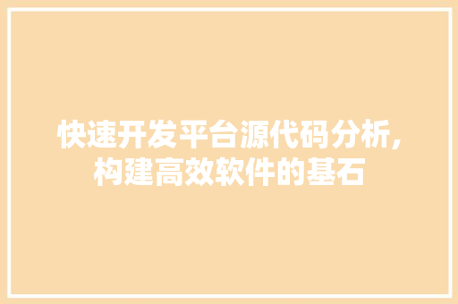 快速开发平台源代码分析,构建高效软件的基石