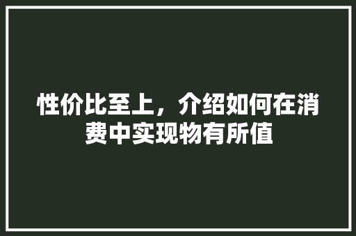 性价比至上，介绍如何在消费中实现物有所值