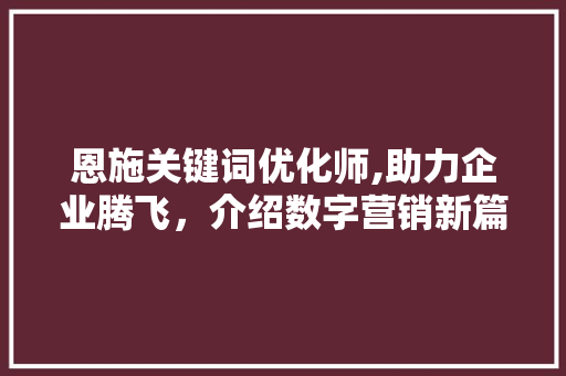 恩施关键词优化师,助力企业腾飞，介绍数字营销新篇章