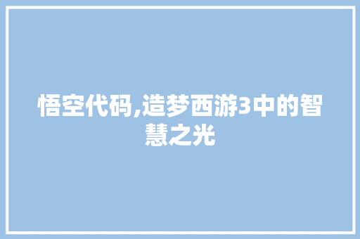 悟空代码,造梦西游3中的智慧之光