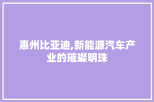 惠州比亚迪,新能源汽车产业的璀璨明珠