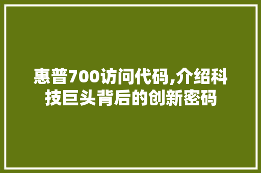 惠普700访问代码,介绍科技巨头背后的创新密码