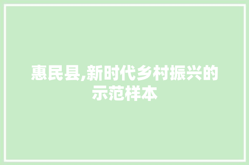 惠民县,新时代乡村振兴的示范样本