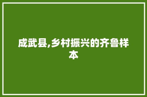 成武县,乡村振兴的齐鲁样本