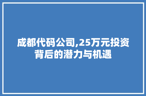 成都代码公司,25万元投资背后的潜力与机遇