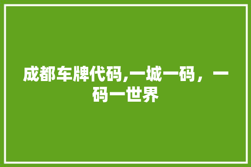 成都车牌代码,一城一码，一码一世界