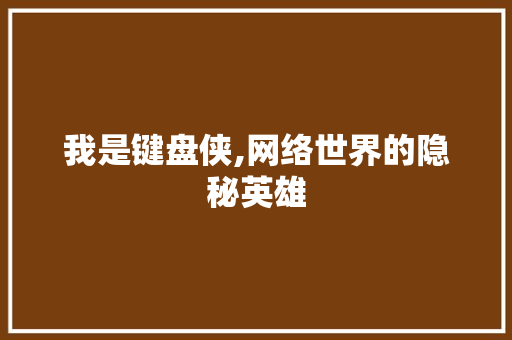 我是键盘侠,网络世界的隐秘英雄