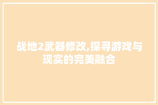 战地2武器修改,探寻游戏与现实的完美融合