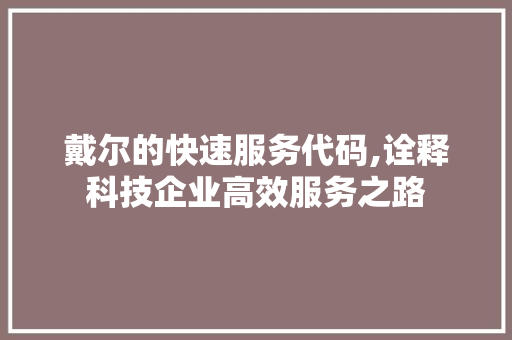 戴尔的快速服务代码,诠释科技企业高效服务之路