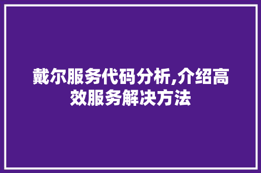 戴尔服务代码分析,介绍高效服务解决方法