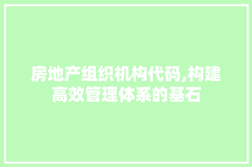 房地产组织机构代码,构建高效管理体系的基石