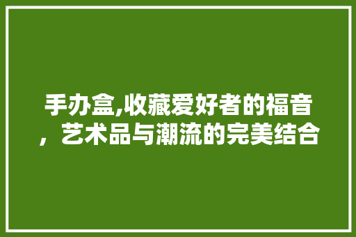 手办盒,收藏爱好者的福音，艺术品与潮流的完美结合