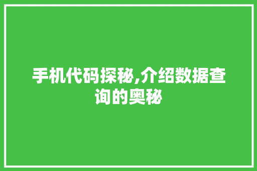 手机代码探秘,介绍数据查询的奥秘