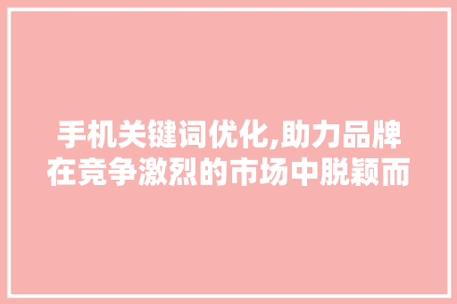 手机关键词优化,助力品牌在竞争激烈的市场中脱颖而出