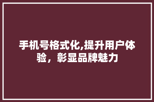 手机号格式化,提升用户体验，彰显品牌魅力