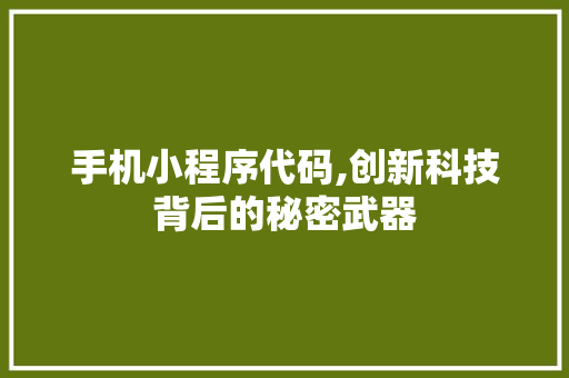 手机小程序代码,创新科技背后的秘密武器