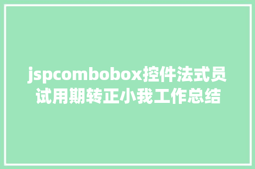 jspcombobox控件法式员试用期转正小我工作总结