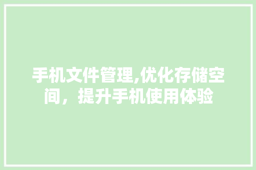 手机文件管理,优化存储空间，提升手机使用体验