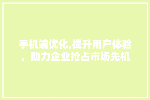 手机端优化,提升用户体验，助力企业抢占市场先机