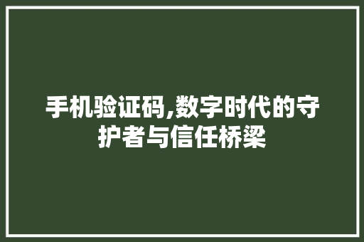 手机验证码,数字时代的守护者与信任桥梁