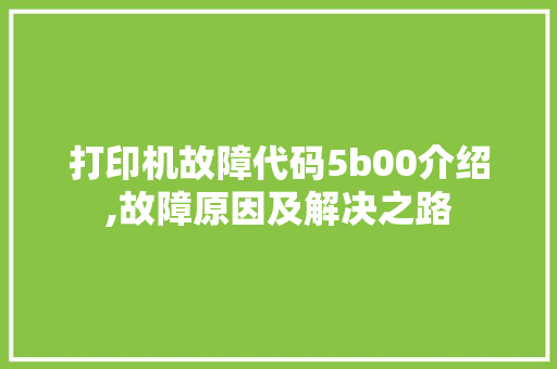 打印机故障代码5b00介绍,故障原因及解决之路