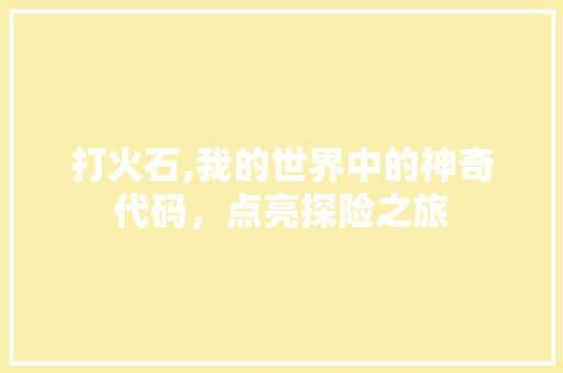 打火石,我的世界中的神奇代码，点亮探险之旅