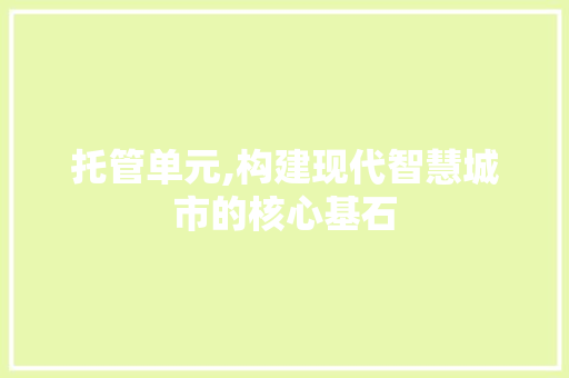 托管单元,构建现代智慧城市的核心基石