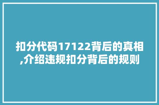 扣分代码17122背后的真相,介绍违规扣分背后的规则与思考