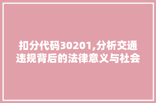 扣分代码30201,分析交通违规背后的法律意义与社会影响 PHP