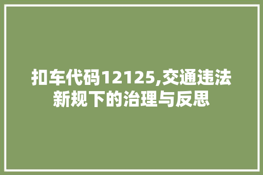 扣车代码12125,交通违法新规下的治理与反思