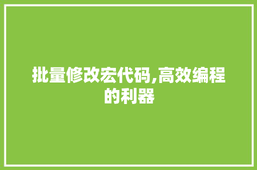 批量修改宏代码,高效编程的利器