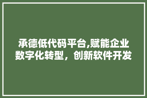 承德低代码平台,赋能企业数字化转型，创新软件开发新范式