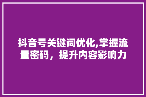 抖音号关键词优化,掌握流量密码，提升内容影响力