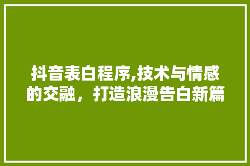 抖音表白程序,技术与情感的交融，打造浪漫告白新篇章